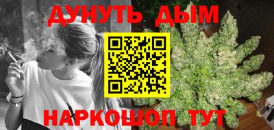 сатива Жуковский