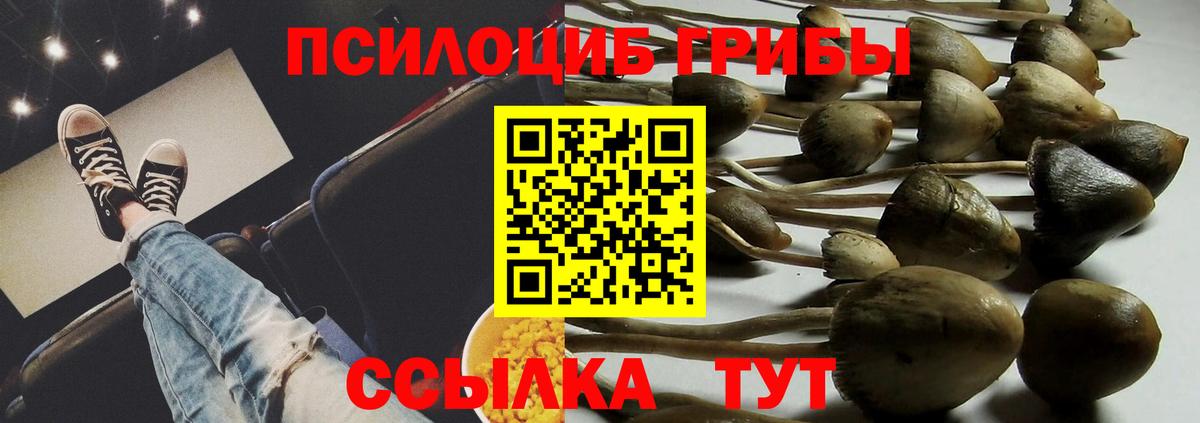 купить наркотик  Вход с VPN  Псилоцибиновые грибы прущие грибы  Лабинск  Галлюциногенные грибы мицелий 
